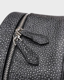 Stingray Backpack