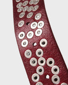 Cinghia piatta per motore hardware