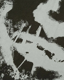 Camouflage Raglan Portrait Tee