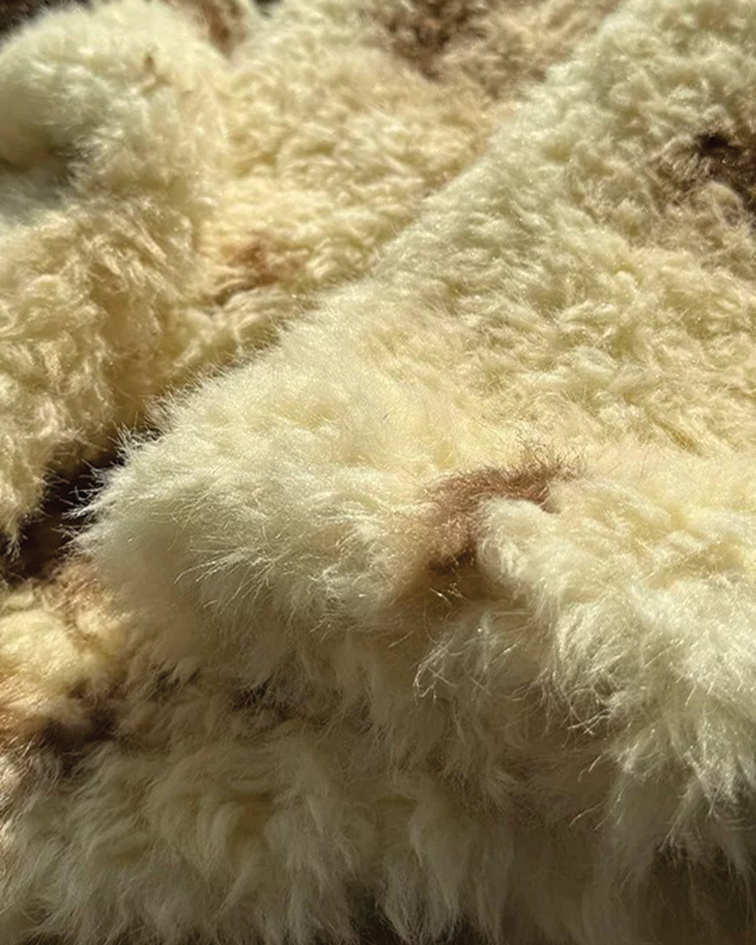 Spotted Sherpa Fleece Jacket
