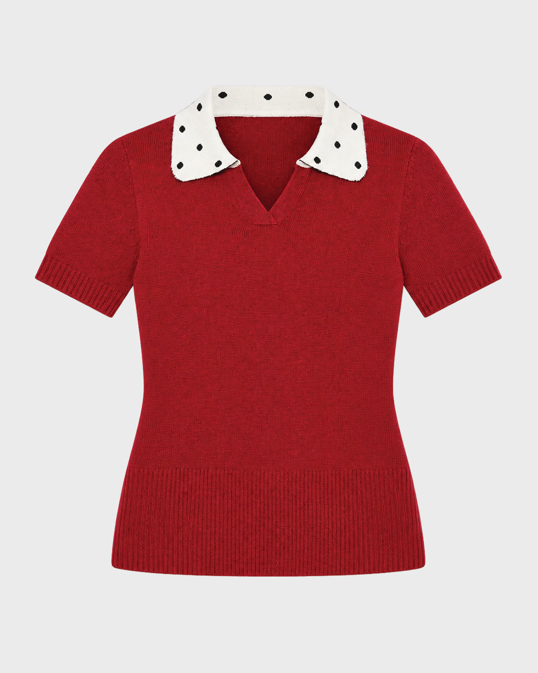 Spotted Collar Knit Polo